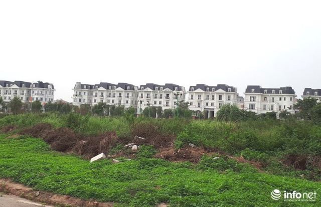 Những khu biệt thự trăm tỷ bỏ hoang ở Hà Nội có bị đánh thuế? - 1