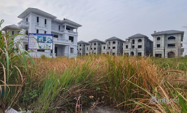 Những khu biệt thự trăm tỷ bỏ hoang ở Hà Nội có bị đánh thuế? - 2 Những khu biệt thự trăm tỷ bỏ hoang ở Hà Nội có bị đánh thuế? - 2