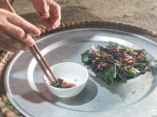 Strangely, the shrimp and beef dish on the tree of the Lang people - 2