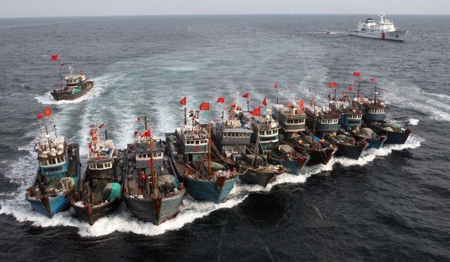 Ngư dân Hàn Quốc tố hàng trăm tàu cá của Trung Quốc vét sạch mọi thứ - 1