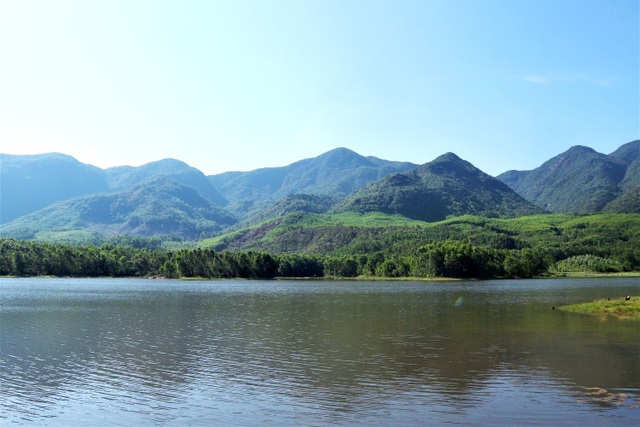 Escape from epidemic, find peaceful nature in the largest lotus field in Quang country - 1