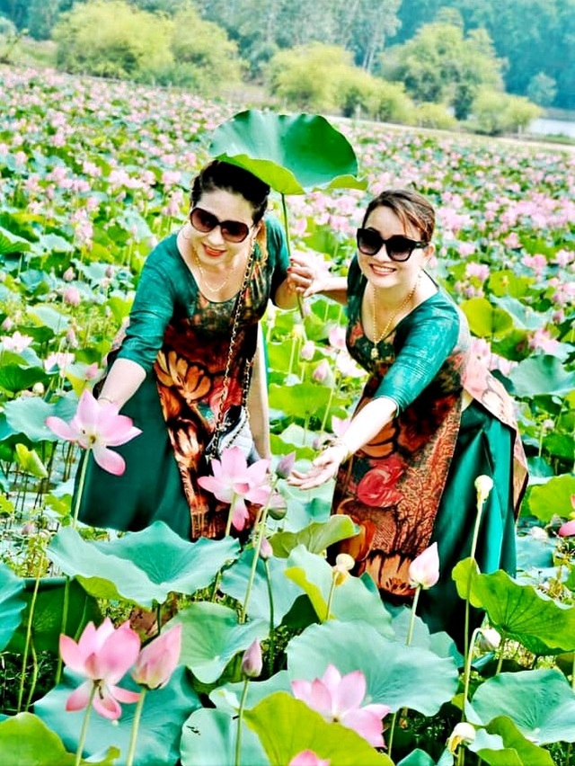 Escape from epidemic, find peaceful nature in the largest lotus field in Quang country - 7