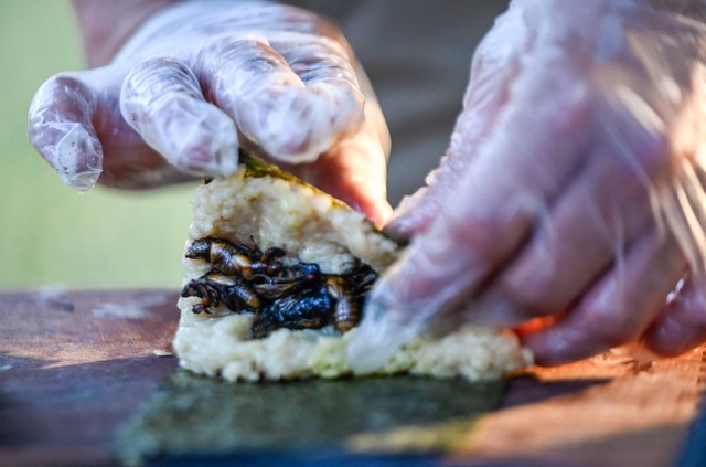 Ve sầu ngủ vùi 17 năm dưới đất… thành món sushi có một không hai - 1 Ve sầu ngủ vùi 17 năm dưới đất… thành món sushi có một không hai - 1