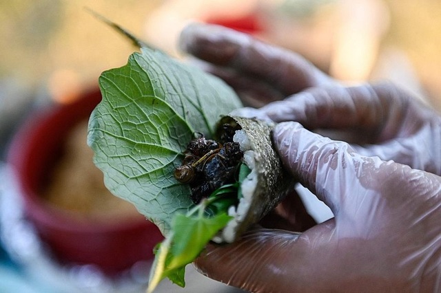 Ve sầu ngủ vùi 17 năm dưới đất… thành món sushi có một không hai - 5 Ve sầu ngủ vùi 17 năm dưới đất… thành món sushi có một không hai - 5