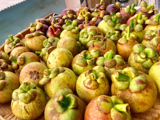 Green mangosteen specialties go by plane, priced at half a million dong/kg, still attracting customers - 1