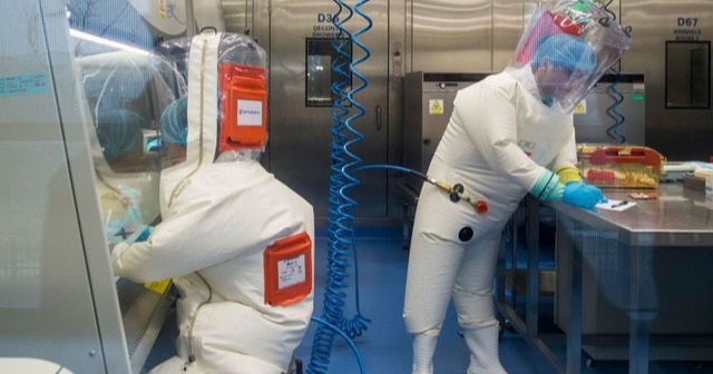 Vì sao giả thuyết virus rò rỉ từ phòng thí nghiệm thành tâm điểm tranh cãi? - 2 Vì sao giả thuyết virus rò rỉ từ phòng thí nghiệm thành tâm điểm tranh cãi? - 2