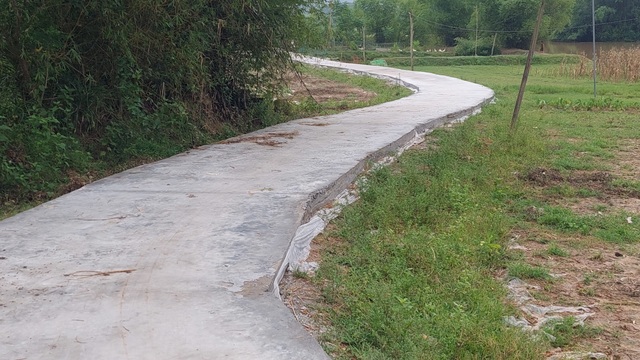 Khi nông dân nghèo bán bò, góp tiền làm đường nông thôn mới - 1