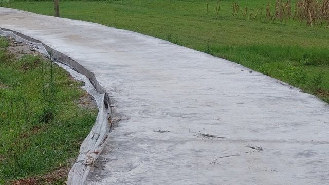 Khi nông dân nghèo bán bò, góp tiền làm đường nông thôn mới - 6