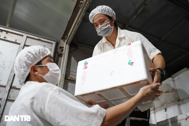 Cận cảnh quy trình đóng gói vải thiều không Covid-19 xuất sang Nhật Bản - 7 Cận cảnh quy trình đóng gói vải thiều không Covid-19 xuất sang Nhật Bản - 7