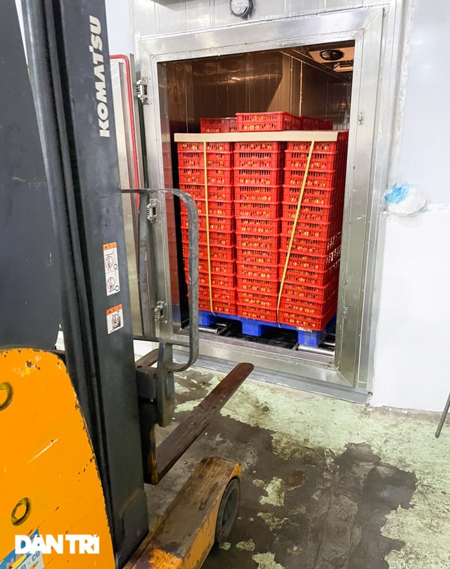 Cận cảnh quy trình đóng gói vải thiều không Covid-19 xuất sang Nhật Bản - 6 Cận cảnh quy trình đóng gói vải thiều không Covid-19 xuất sang Nhật Bản - 6
