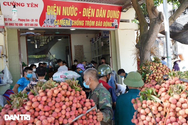 Bắc Giang: Nông dân kêu trời vì giá vải thiều lên xuống thất thường - 3