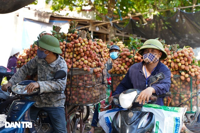 Bắc Giang đề nghị không dùng từ giải cứu vải thiều - 1