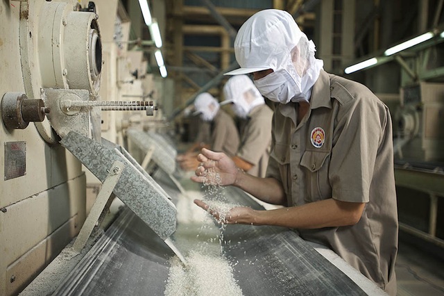 Doanh nhân Việt "bị động" chờ TPP, Brexit - 1 Việc đón nhận TPP một cách thụ động như thế này cực kỳ nguy hiểm