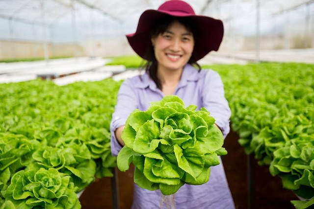 Cô gái Tây Nguyên nuôi ước mơ giải cứu nông sản ế - 1 Cô ong chúa Trần Mao chuyên giải cứu nông sản ế.