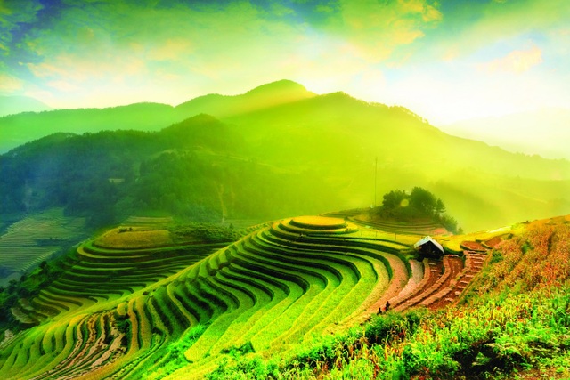 Ngày hội khai thu năm nay có gì đặc biệt? - 1 Ngày hội khai thu năm nay có gì đặc biệt? - 1