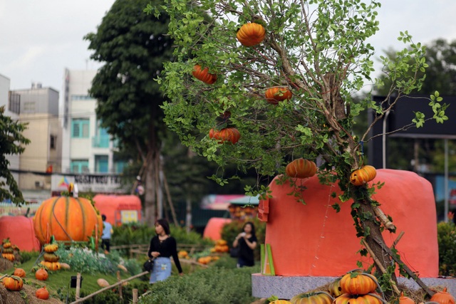 Vườn bí ngô đậm chất Halloween thu hút bạn trẻ ở Sài Gòn - 7 Bí ngô được biết đến là biểu tượng của lễ hội Halloween ở các nước phương Tây dịp cuối tháng 10 hàng năm.