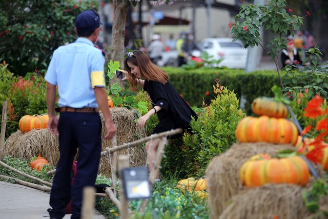 Vườn bí ngô đậm chất Halloween thu hút bạn trẻ ở Sài Gòn - 9 Một bạn trẻ leo vào bên trong vườn để chụp hình bị bảo vệ nhắc nhở.