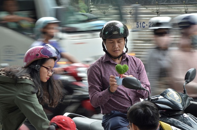 Nhiều mẫu hoa "độc" trong ngày 20/10 - 1 Khách đang chọn sản phẩm cỏ may mắn.