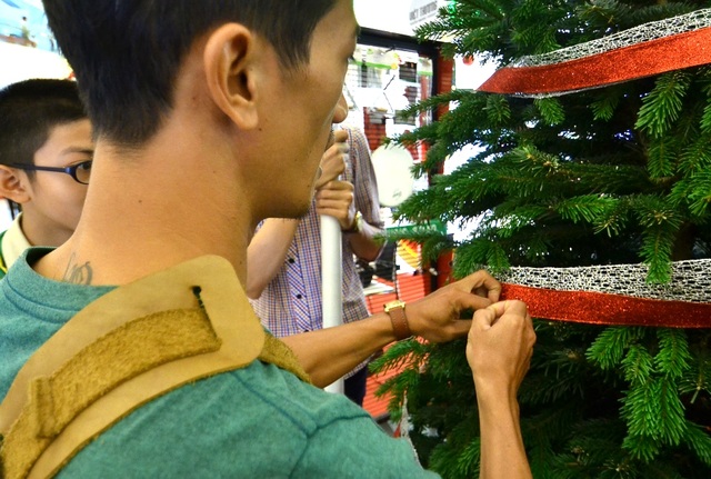 Độc đáo cây thông Noel thật được nhập về từ Mỹ - 9 …xin một lá thông để xem là thật hay giả.