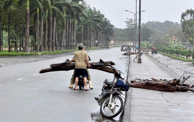 Liều mình vớt củi trên dòng nước lũ chảy xiết - 3 Sau đó được chuyển về nhà bằng xe máy, ba gác