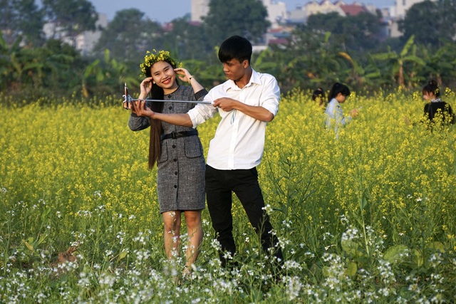 Rộ phong trào chụp ảnh trong vườn hoa cải bát ngát tuyệt đẹp - 12
Selfie là mốt thời thượng của các bạn trẻ.