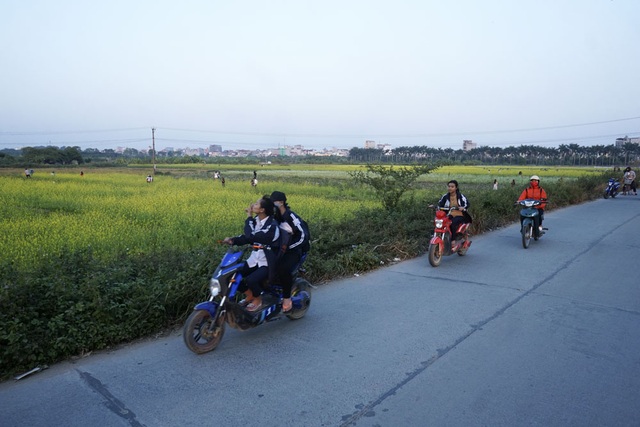 Rộ phong trào chụp ảnh trong vườn hoa cải bát ngát tuyệt đẹp - 16
Việc kinh doanh cho thuê ruộng cải để chụp ảnh đã thành một phong trào.
