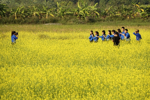 Rộ phong trào chụp ảnh trong vườn hoa cải bát ngát tuyệt đẹp - 5
Tuy xa thành phố, nhưng vào những ngày thời tiết đẹp, hàng đoàn người kéo về đông đúc với đủ mọi lứa tuổi.