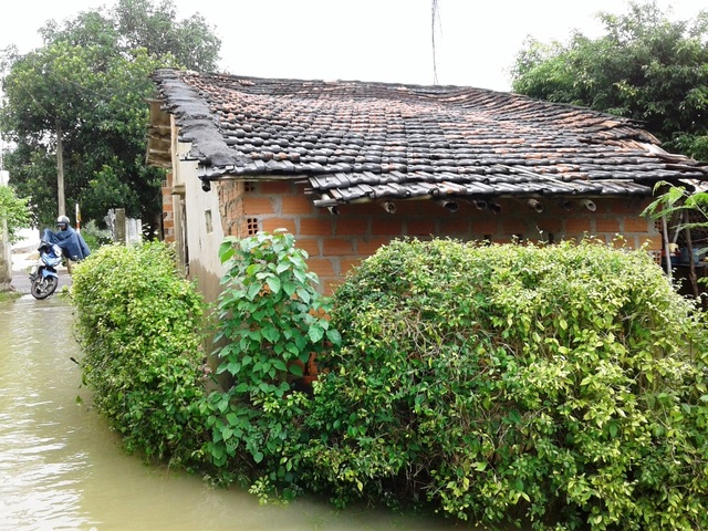 Người Bình Định kiệt quệ vì 3 trận lũ liên tiếp - 7 Nhiều nhà dân xuống cấp có nguy cơ sập do hứng lũ liên tiếp