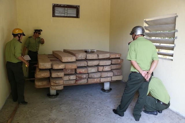 Giám đốc Sở dùng kho cơ quan để cất giữ gỗ trái phép - 1 Lô gỗ không rõ nguồn gốc và không có giấy tờ hợp pháp. (Ảnh Q.N)
