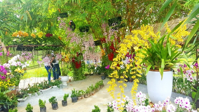 Bài 2: “Tuyệt tác” vườn Thượng uyển trong Kinh thành Huế - 16 Cả khu vườn Thượng uyển dầy hoa thơm cỏ lạ, cô đọng cho tinh hoa cảnh quan vườn xưa trong cung đình Huế theo triết lý các vua Nguyễn