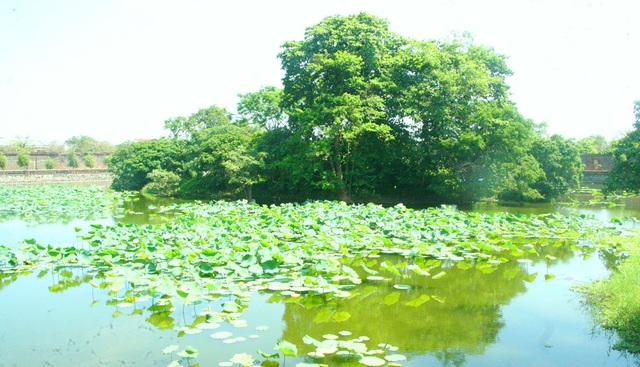 Bài 3: Thủy đạo - “hệ xương nước” điều hòa phong thủy cho Kinh thành Huế - 3 Một góc hồ Kim Thủy trong Hoàng thành