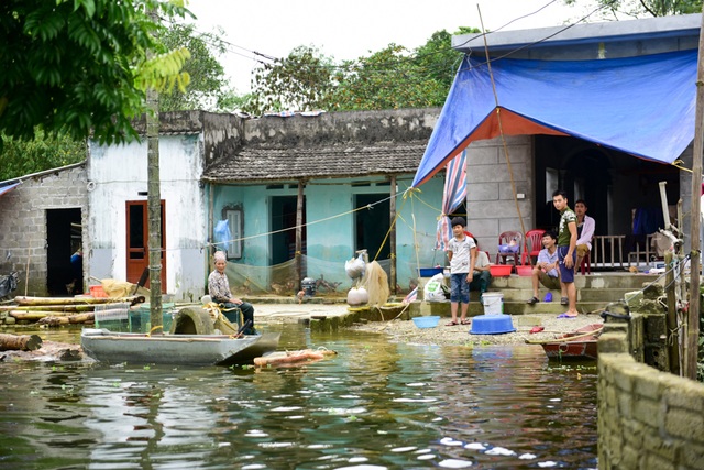 Gà vẫn ở trong nhà dân ngoại thành Hà Nội sau một tuần ngập lũ - 4
Nhà bà Trần Thị Lạn (thôn La Đồng, xã Hợp Tiến) vẫn ngập nước xung quanh. Trong đợt lũ vừa rồi, gia đình bà mất hơn 1000 con gà, 150 con ba ba thịt, thiệt hại khoảng 140 triệu đồng.