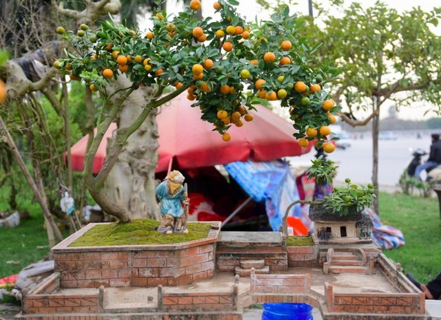 Quất tiểu cảnh gợi hình ảnh làng quê Bắc Bộ yên bình - 3
Trong các loại quất tạo thế, quất bonsai dựng tiểu cảnh giếng nước sân đình trông khá ấn tượng. Ngoài cây quất được tạo vẻ cổ thụ, tiểu cảnh đi cùng cũng được chăm chút chi tiết.