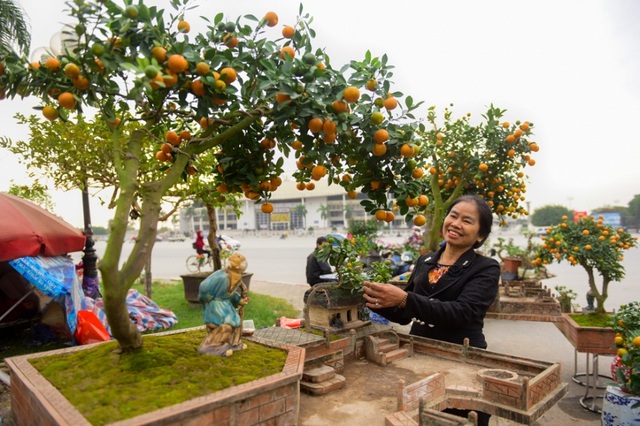 Quất tiểu cảnh gợi hình ảnh làng quê Bắc Bộ yên bình - 9
Chủ nhân của những chậu quất tiểu cảnh là bà Chu Thị Dân, từ Nam Trực (Nam Định) ra Hà Nội. Ba Dân chia sẻ: “Ý tưởng về những chậu quất “giếng nước sân đình” do gia đình tự nghĩ ra để mang đến sự mới lạ. Quất được chọn dựng tiểu cảnh đều được trồng trên 10 năm, thế đẹp, không quá to để tạo tiểu cảnh”.