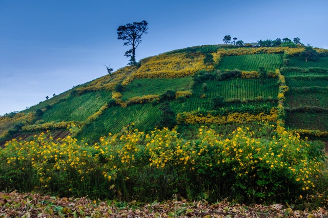 Khám phá núi lửa Chư Đăng Ya - 7 Khám phá núi lửa Chư Đăng Ya - 7