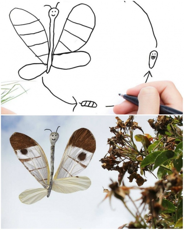 Thú vị những "vật thể lạ" được ảnh hóa từ nét vẽ nguệch ngoạc của con trẻ - 7 Một loài bướm mới được phát hiện?