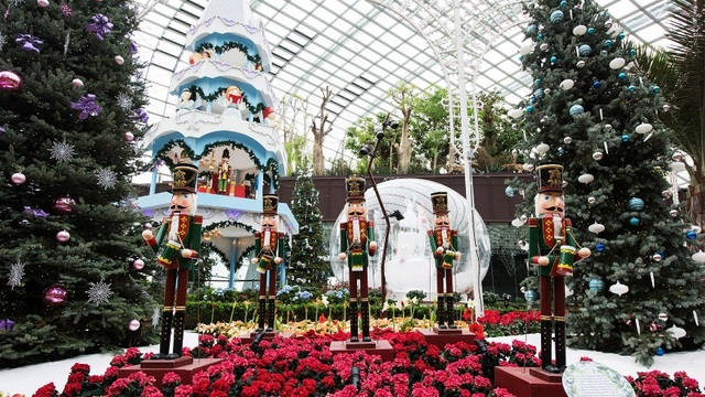 Gợi ý lịch trình 3 ngày đón giáng sinh tại Singapore - 2 Buổi chiều: Dạo bước giữa vườn hoa Merry Medley tại Flower Dome, lắng nghe những khúc hòa tấu du dương trong không gian rực rỡ sắc đỏ trắng cùng mùi gỗ đàn hương thoang thoảng.