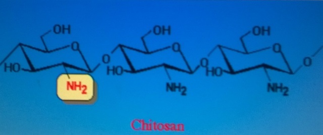 Chitosan: Nguyên liệu quý từ vỏ tôm, cua - 3