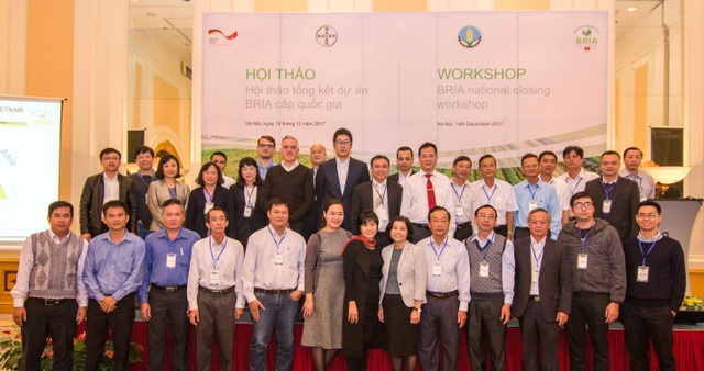 BRIA góp phần đẩy mạnh sản xuất lúa gạo tại Việt Nam - 4 Toàn cảnh Tổng kết Dự án BRIA tại Việt Nam