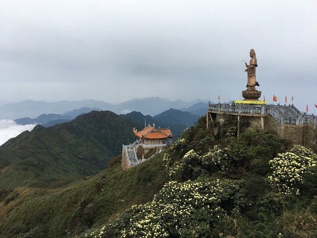 Người Hà Nội đang “bỏ phố lên núi” vì nắng nóng - 9 Màu xanh mát mắt trải dài tưởng như vô tận, những vạt rừng đỗ đổ như suối thác dưới chân tượng đồng Quan Thế Âm Bồ Tát trong khu vực quần thể văn hóa tâm linh Fansipan.