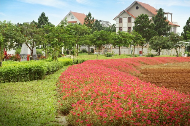 Biệt thự đồi thông giữa lòng Hà Nội: Tiện ích vượt trội, sống xanh an lành - 2 Không gian sống xanh trong lành tại The Phoenix Garden