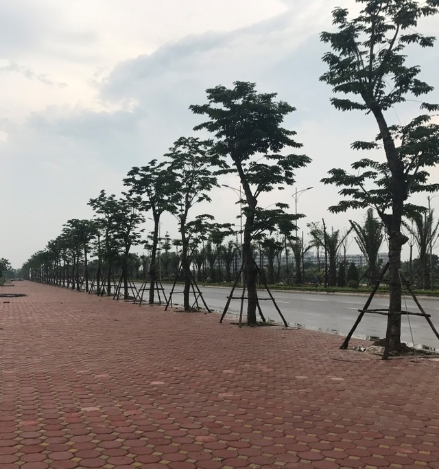 Khu phố Thanh Hà đang thay da đổi thịt từng ngày - 4 Khu phố Thanh Hà đang thay da đổi thịt từng ngày - 4