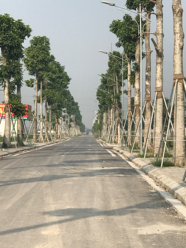 Khu phố Thanh Hà đang thay da đổi thịt từng ngày - 7 Khu phố Thanh Hà đang thay da đổi thịt từng ngày - 7