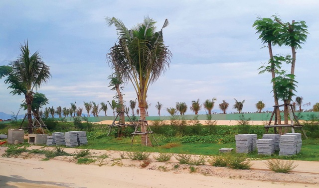 Para Grus - Đô thị đầu tiên tại KN Paradise - 3 Lối vào dự án đang được phủ xanh