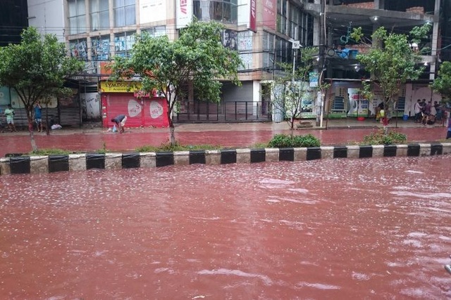 Đường phố Bangladesh nhuộm đỏ màu máu sau lễ hiến tế - 4 Hình ảnh chụp được trên nhiều tuyến phố ở Dhaka như phim kinh dị