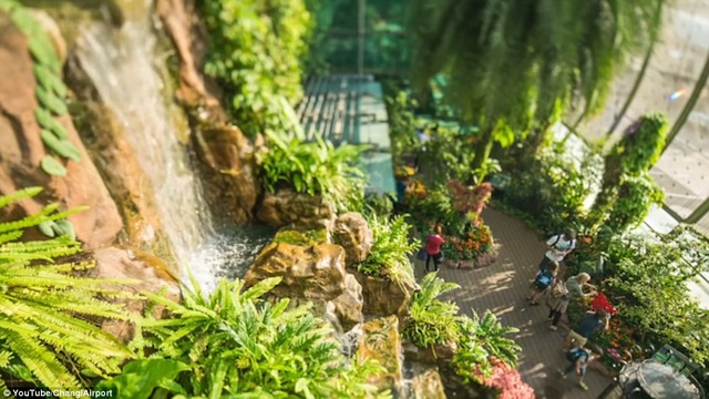 Vì sao sân bay Changi Singapore luôn được bình chọn tốt nhất thế giới? - 2 Một trong những điều hành khách khó lòng thấy nhàm chán khi quá cảnh ở Changi chính là khu vườn bướm, thác nước nhân tạo và cả rạp chiếu phim miễn phí 24 giờ