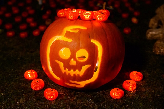 Nơi sở hữu những trái bí ngô nhỏ nhất thế giới chào đón lễ Halloween - 5 Bí ngô tý hon được trưng bày ở Legoland cho tới hết ngày 5/11 tới đây