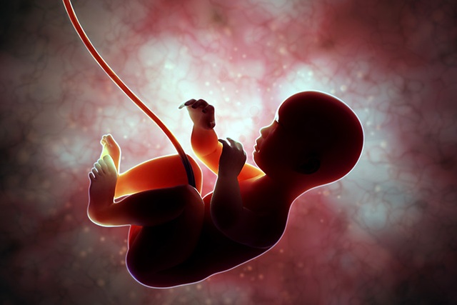 Ngắm trọn vẹn quá trình mang thai trong clip 3D tuyệt đẹp - 1