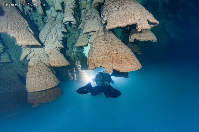 "Chuông địa ngục" nằm dưới hang sâu ngập nước - 4 Duy nhất ở Cenote Zapote mới sở hữu những “chiếc chuông” dưới nước