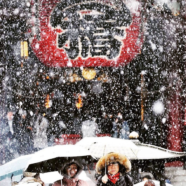 Đã 54 năm trôi qua, đây là lần đầu người dân Tokyo đón trận tuyết sớm đầu mùa vào tháng 11